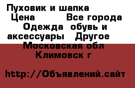 Пуховик и шапка  Adidas  › Цена ­ 100 - Все города Одежда, обувь и аксессуары » Другое   . Московская обл.,Климовск г.